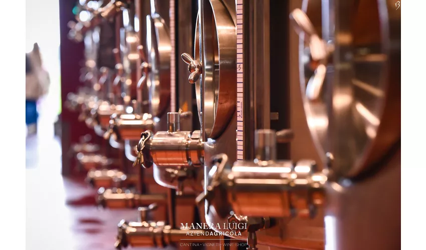 Cantina Manera Luigi