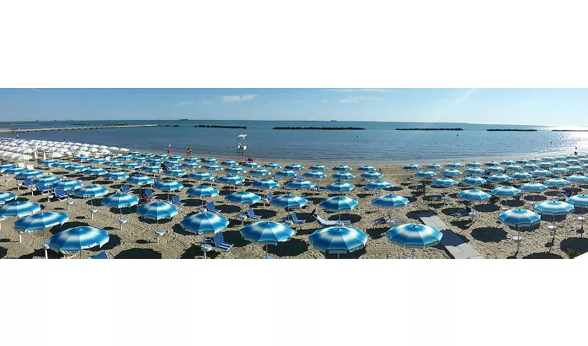 Stabilimento Bar Le Palme