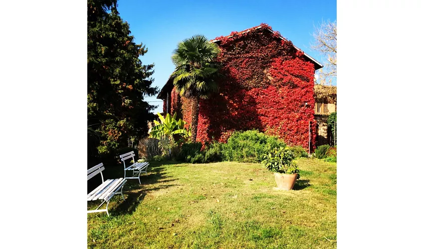 Santisè Cucina Piemontese Contemporanea