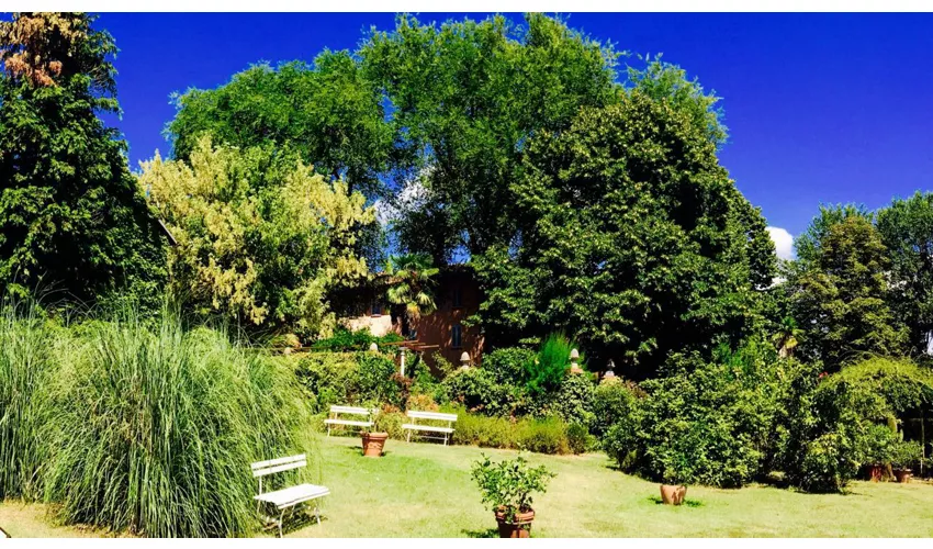 Santisè Cucina Piemontese Contemporanea