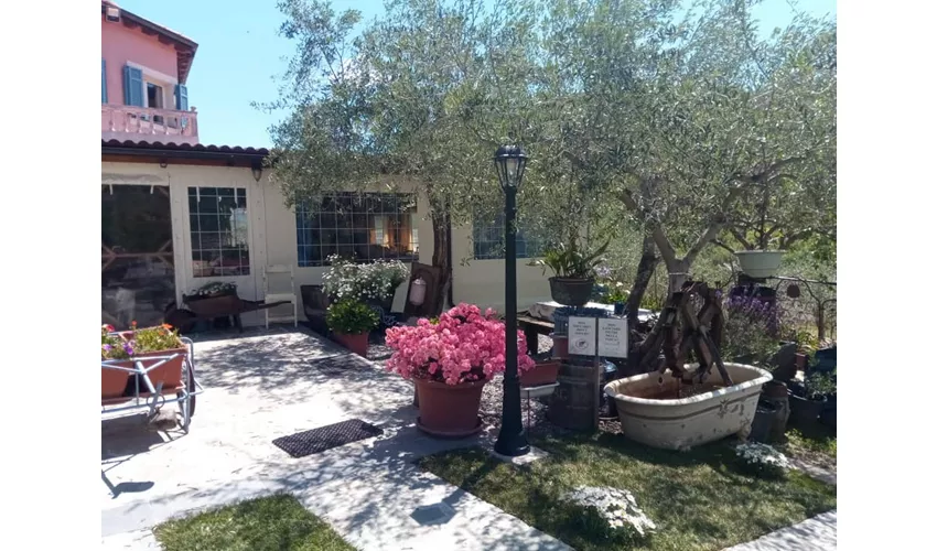 Agriturismo Cà Sottane