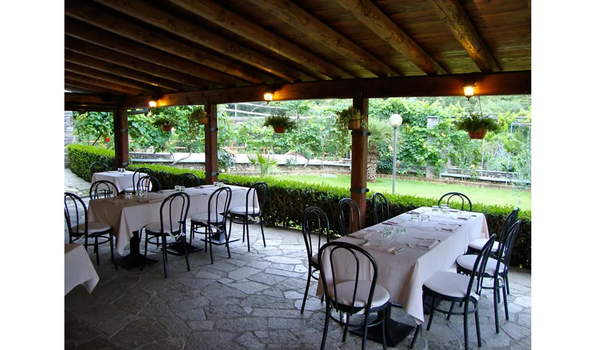 Agriturismo La Molinella
