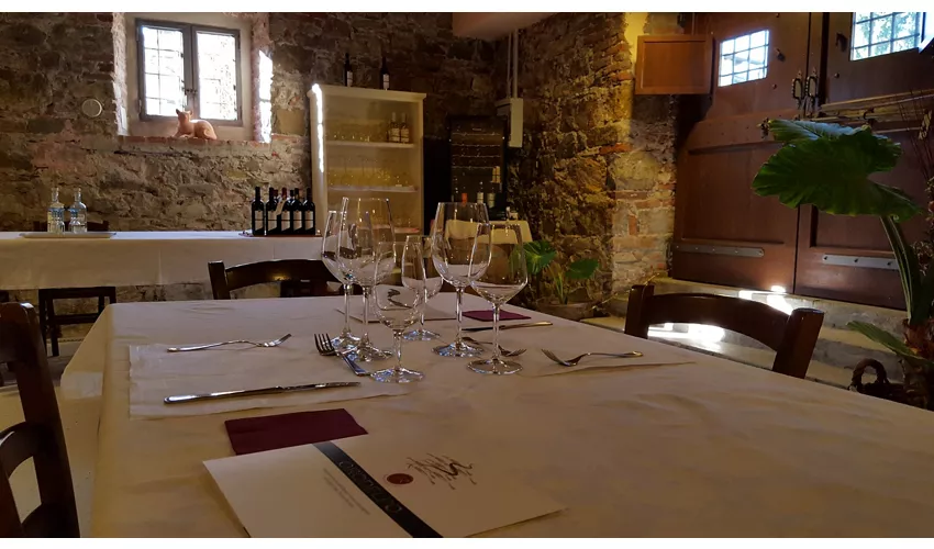 Tenuta Riccardi - Vini dal 1912