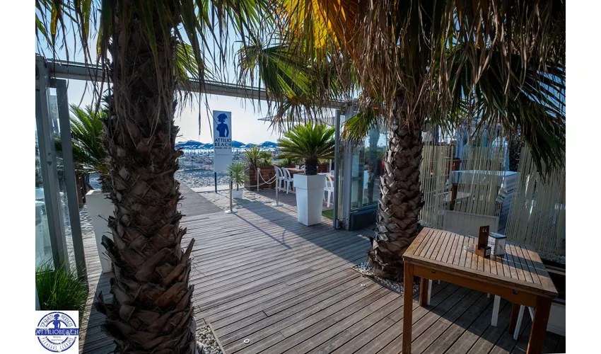Attilio Beach Pleasure Club .253
