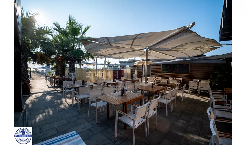 Attilio Beach Pleasure Club .253