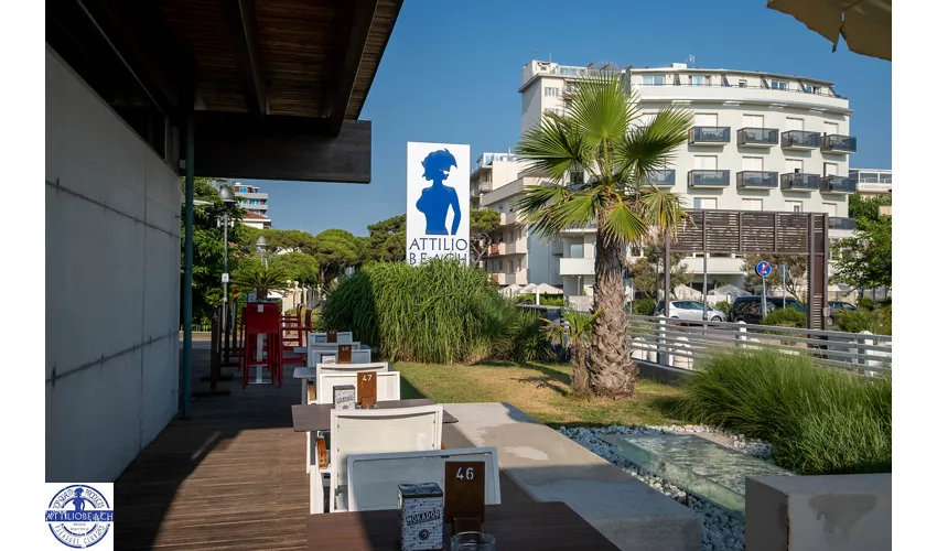 Attilio Beach Pleasure Club .253
