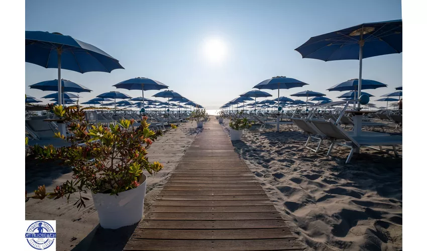 Attilio Beach Pleasure Club .253