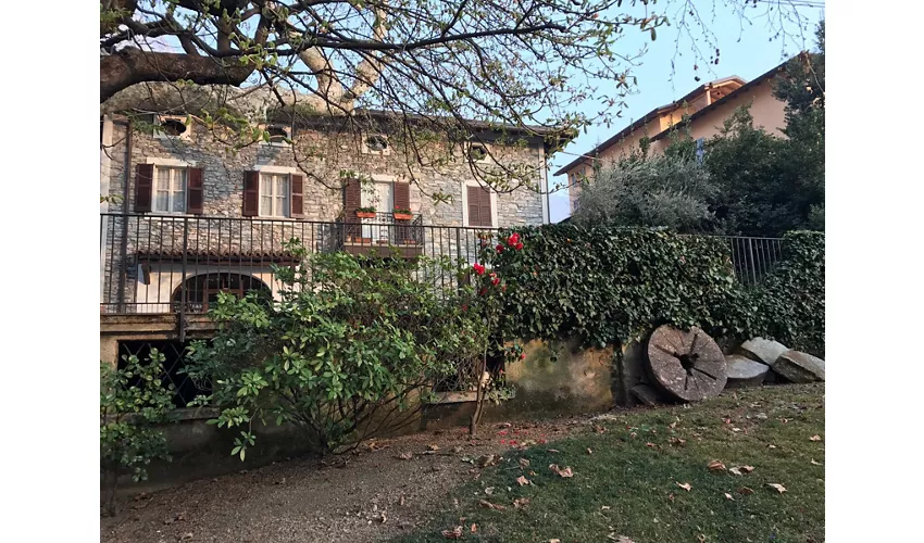 Ristorante Il Crotto di Lierna 