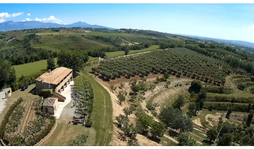 Agriturismo Le Farnie