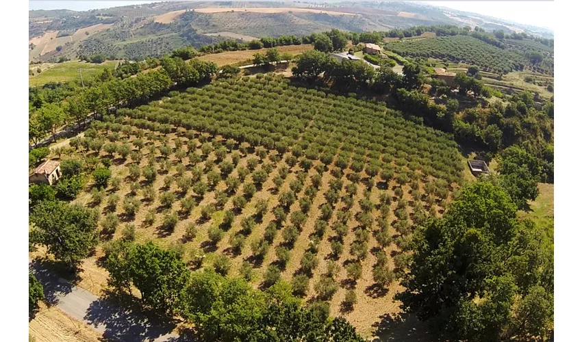 Agriturismo Le Farnie