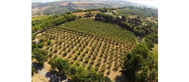 Agriturismo Le Farnie