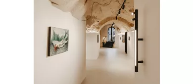 Momart Gallery