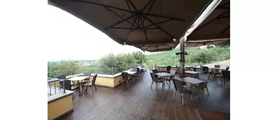 Poggio Degli Olivi