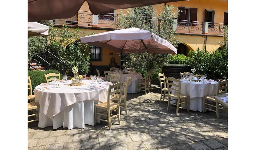 Poggio Degli Olivi