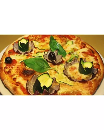 Pizzeria Ocoptus