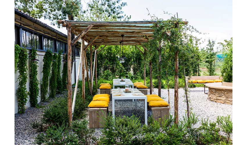 Agriturismo Il Cerreto - Il Cerreto 100% Bio Ristorante Vegetariano