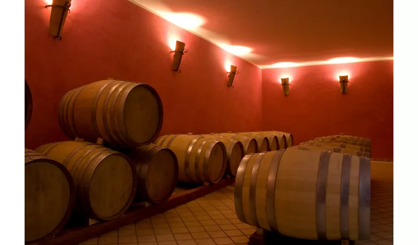 Vigneti Vallorani