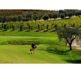 Radici Resort