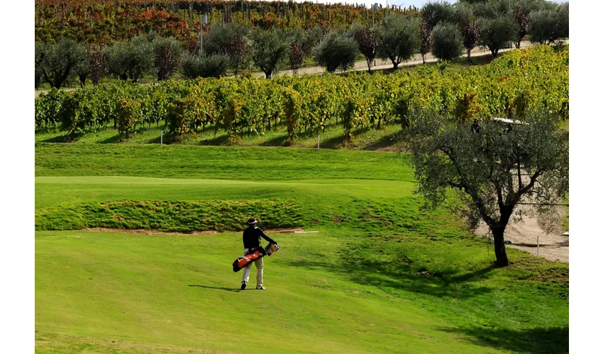 Radici Resort