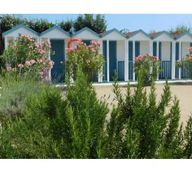 Bagno Chimera - Pesce Chimera