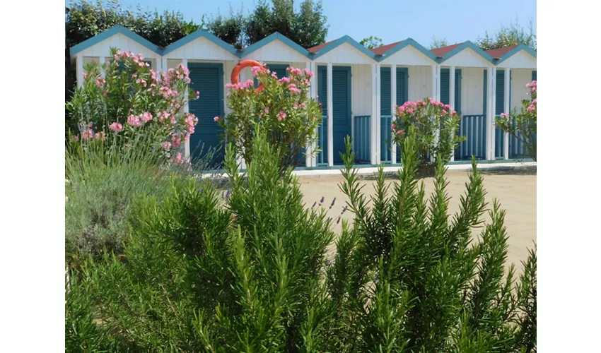 Bagno Chimera - Pesce Chimera