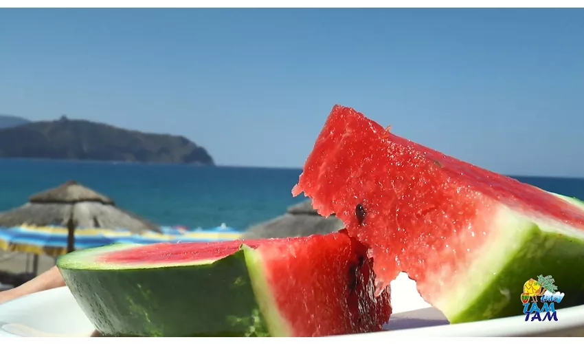 Lido TamTam