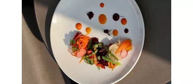 Terrazza 241
