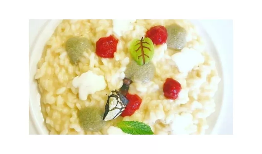 Trattoria Bjrot
