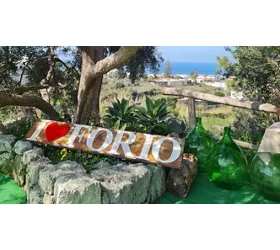 "Ristorante ""Terra e Sapori"""