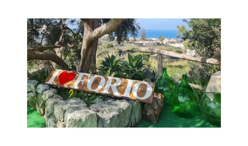 "Ristorante ""Terra e Sapori"""