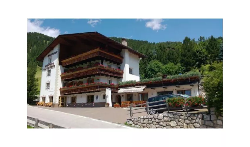Hotel Alisander