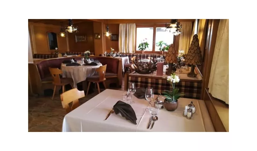 Hotel Alisander