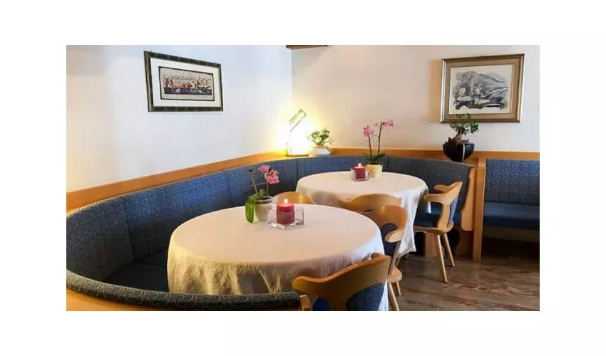 Hotel Alisander