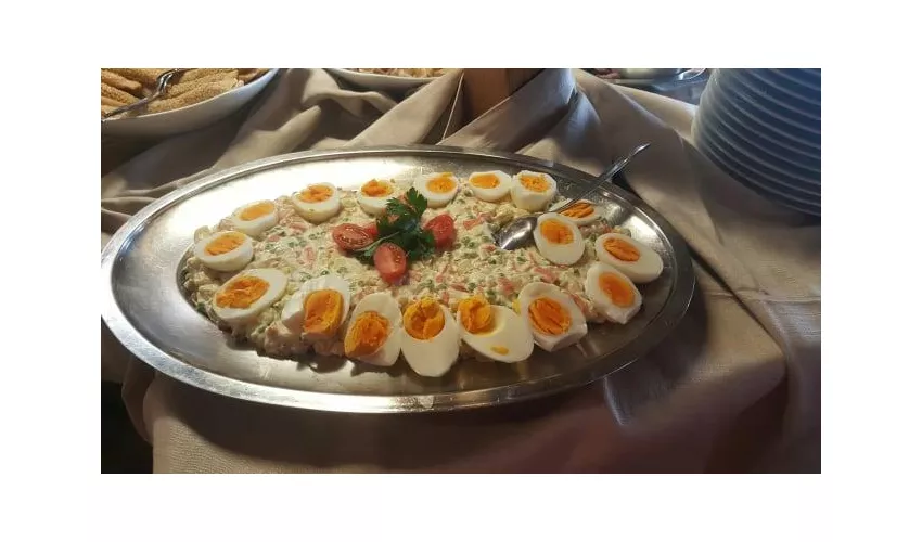 Hotel Alisander