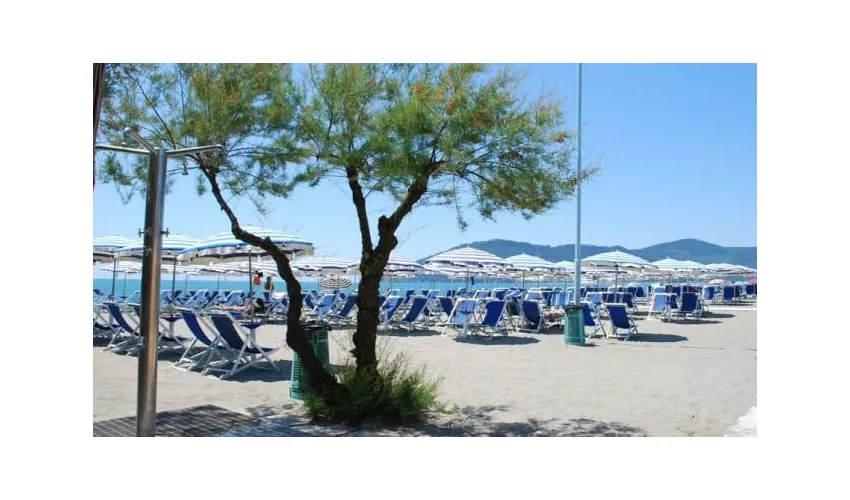 Ristorante Bagno Ambra