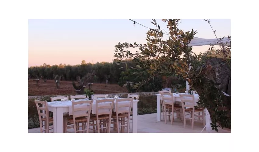 TerreAmare Agriturismo