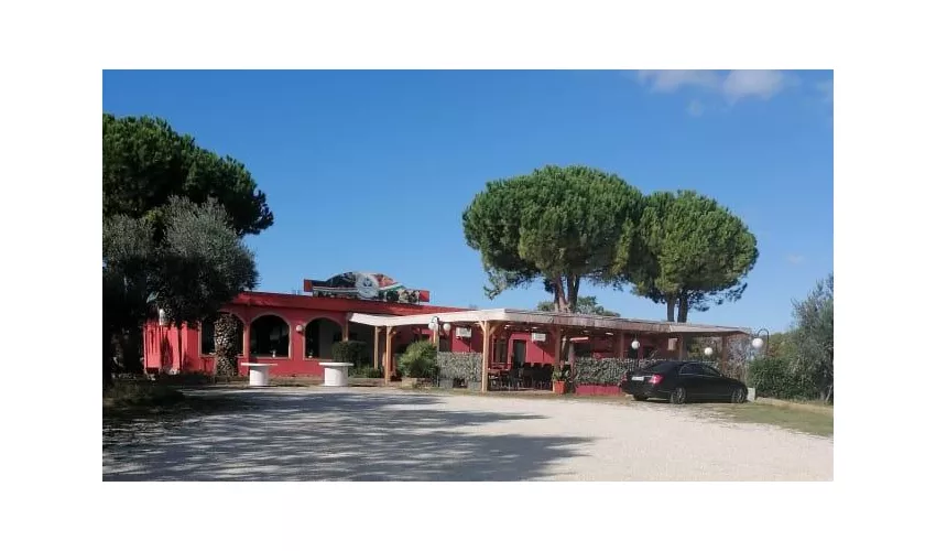 Lino Sapori di Mare e Monti