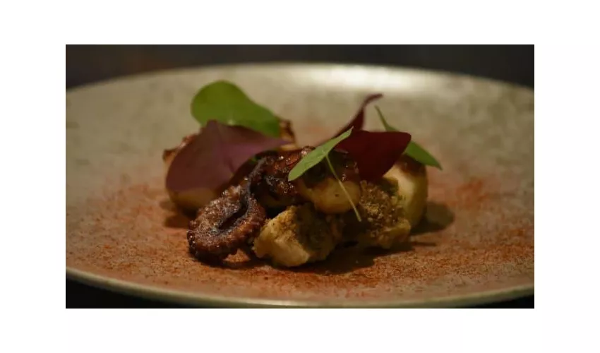 Chat Qui Rit | Ristorante Venezia Gourmet