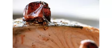 Essenza ristorante