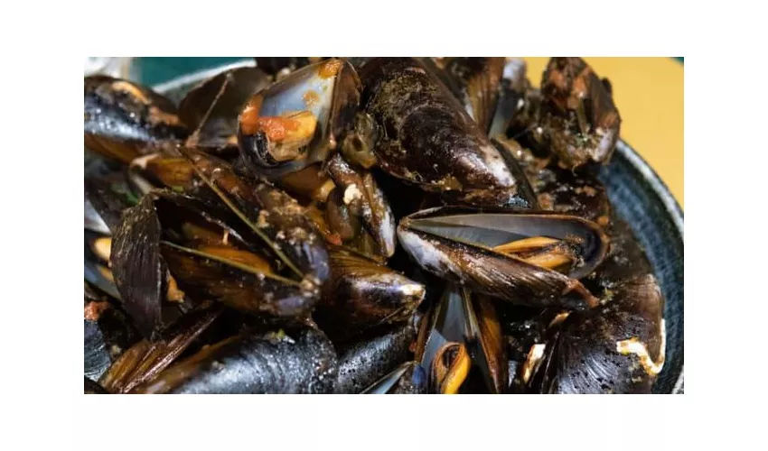 Trattoria Il Grillo Parlante - Centro Storico