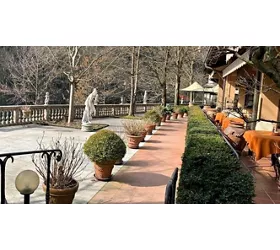 Vigneto