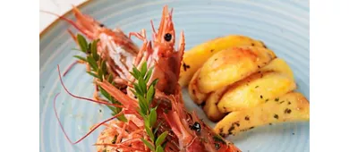 ANYMA BISTROT