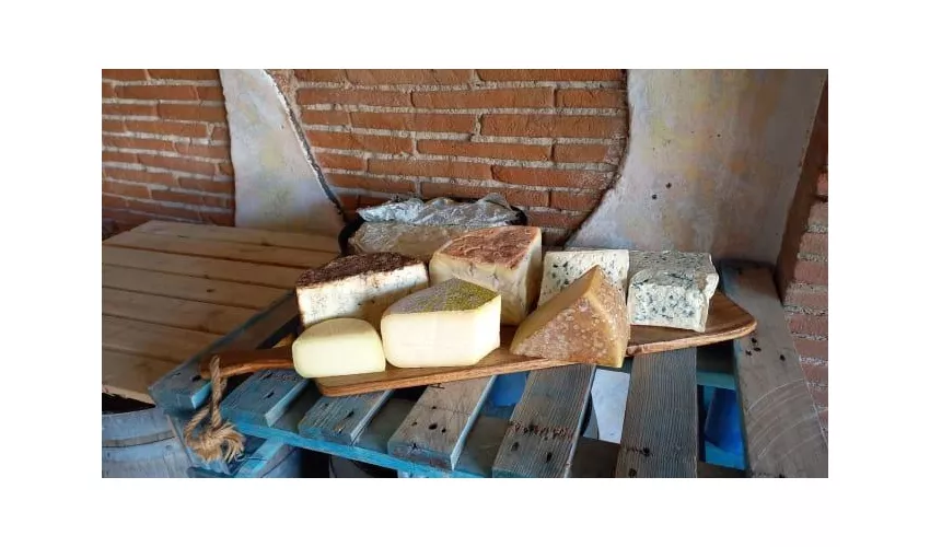 Vizi E Virtù