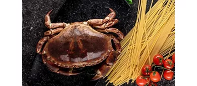 Pescheria Corallo