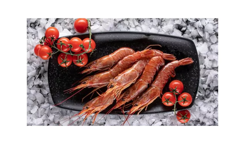 Pescheria Corallo