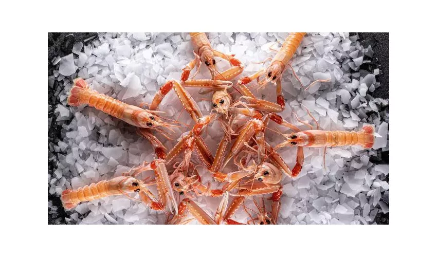 Pescheria Corallo