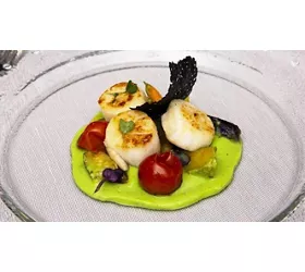 Terrazza 21