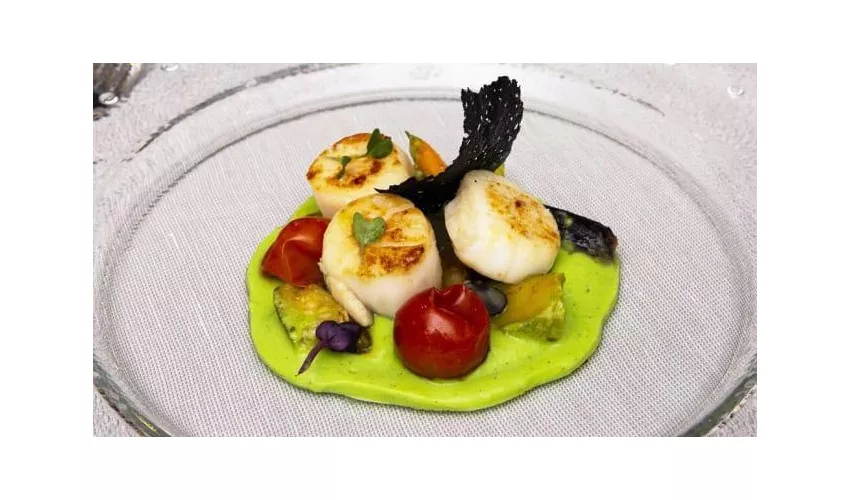 Terrazza 21