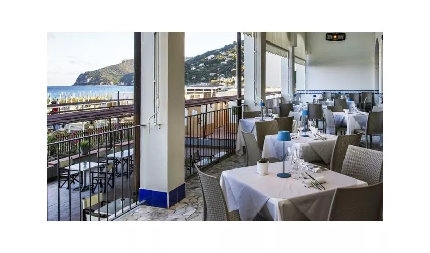 Terrazza 21