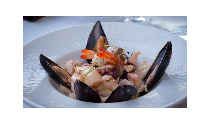 Lupo di Mare